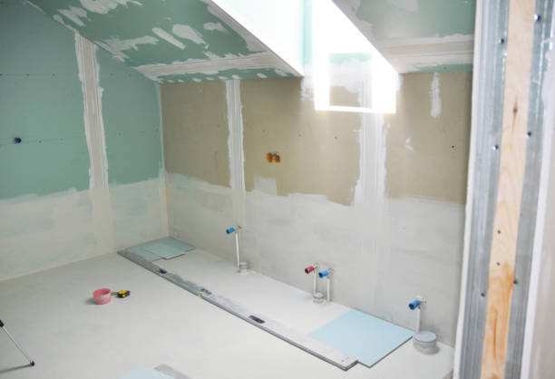 Best Mold Odor Removal Services  in Berrien Springs, MI