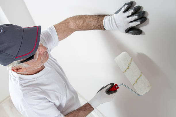 Best Basement Mold Removal  in Berrien Springs, MI
