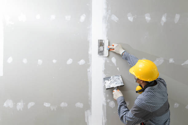 Berrien Springs, MI Mold Removal Company