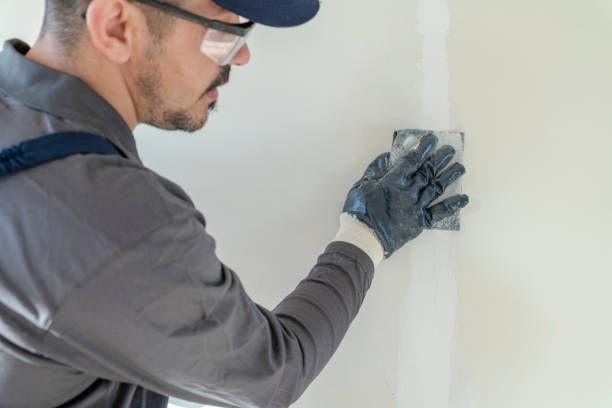 Best Mold Documentation for Insurance Claims  in Berrien Springs, MI