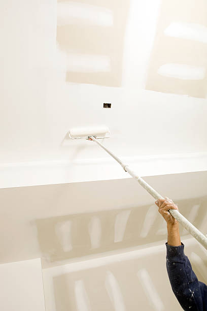 Best Basement Mold Removal  in Berrien Springs, MI
